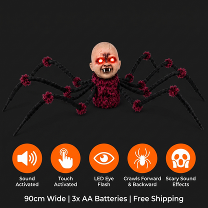 Spider Scare