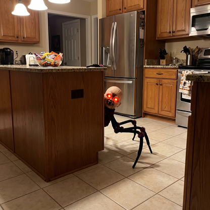 Spider Scare
